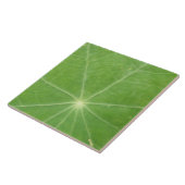 Nasturtium Leaf Tile Tegeltje (Zijkant)