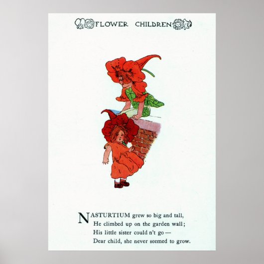 Nasturtium Poster (Voorkant)