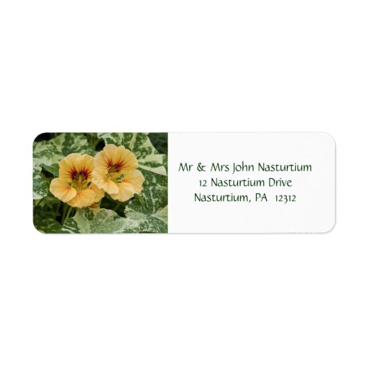 Nasturtium Return Address Label (Voorkant)