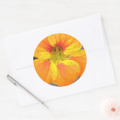 Nasturtium-Sticker Ronde Sticker (Envelop)