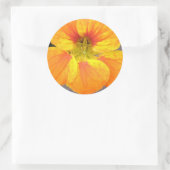 Nasturtium-Sticker Ronde Sticker (Tas)