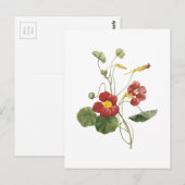 nasturtium (Tropaeolum majus) van Redouté Briefkaart (Voorkant / Achterkant)