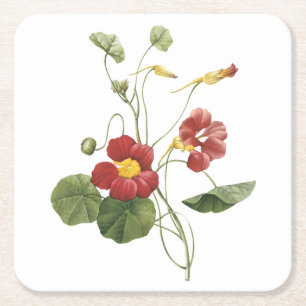 nasturtium (Tropaeolum majus) van Redouté Kartonnen Onderzetters
