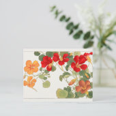 Nasturtium van Tanigami Konan Briefkaart (Staand voorkant)