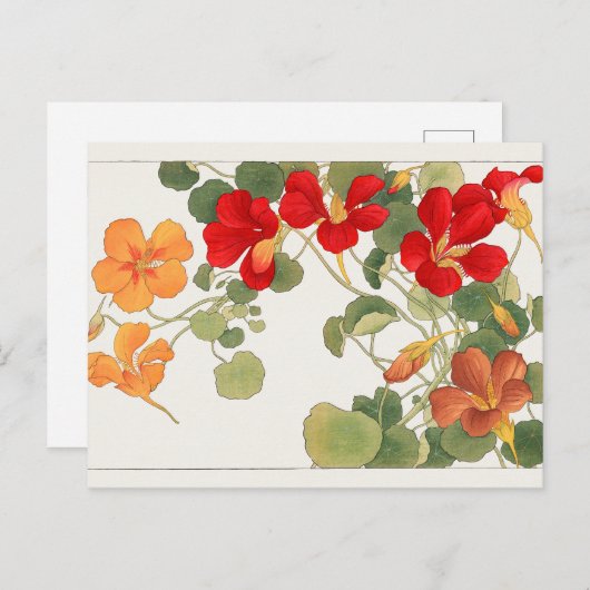Nasturtium van Tanigami Konan Briefkaart (Voorkant / Achterkant)