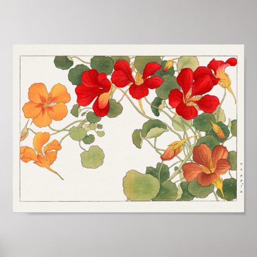 Nasturtium van Tanigami Konan Poster (Voorkant)