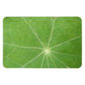 Nasturtiumblad Premium Magneet (Horizontaal)