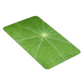 Nasturtiumblad Premium Magneet (Rechterzijde)