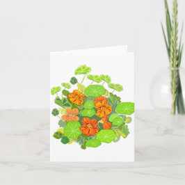 Nasturtiums Blank Notecard Bedankkaart