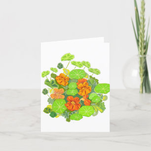 Nasturtiums Blank Notecard Bedankkaart