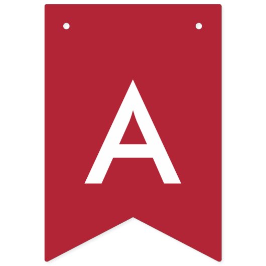 Nasty Vrouwen stemmen voor Hillary Clinton Democra Vlaggetjes (Tweede vlag)