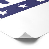 Nasty Woman for President 2016 — Presidential Ele Poster (Hoek)