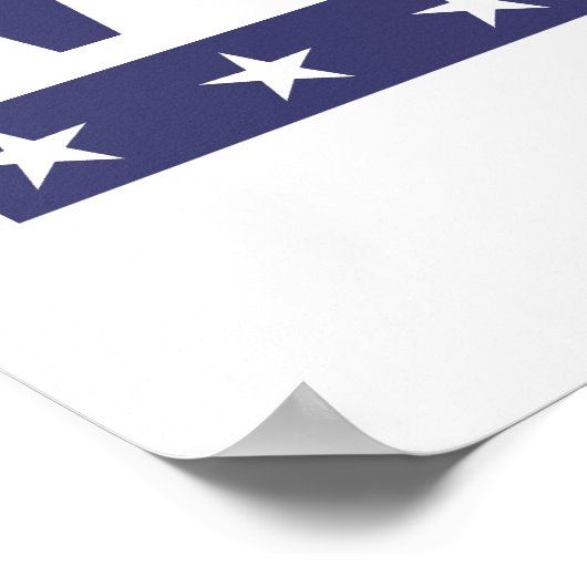 Nasty Woman for President 2016 — Presidential Ele Poster (Hoek)