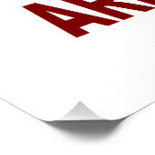 NAT-C PERFECT POSTER (Hoek)