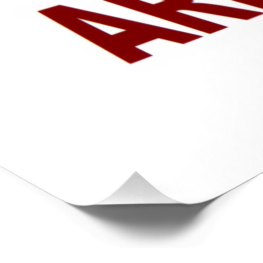 NAT-C PERFECT POSTER (Hoek)