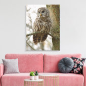 Nat Feathers Barred Owl Alert Zoekend Prey Canvas Afdruk (Insitu (Woonkamer))