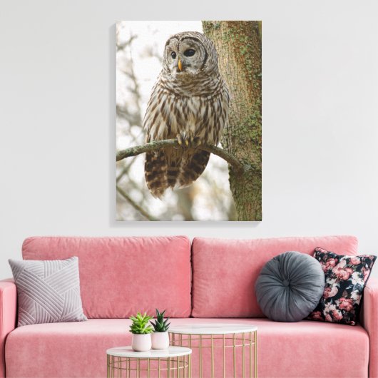 Nat Feathers Barred Owl Alert Zoekend Prey Canvas Afdruk (Insitu (Woonkamer))