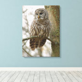Nat Feathers Barred Owl Alert Zoekend Prey Canvas Afdruk (Insitu (Houten vloer))