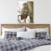 Nat Feathers Barred Owl Alert Zoekend Prey Canvas Afdruk (Insitu (Slaapkamer))
