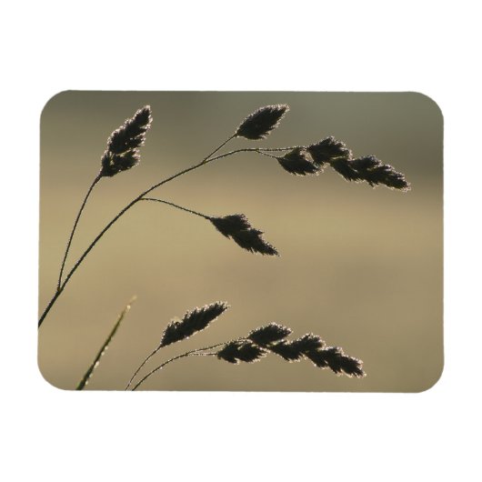 Nat grasoor magneet (Horizontaal)