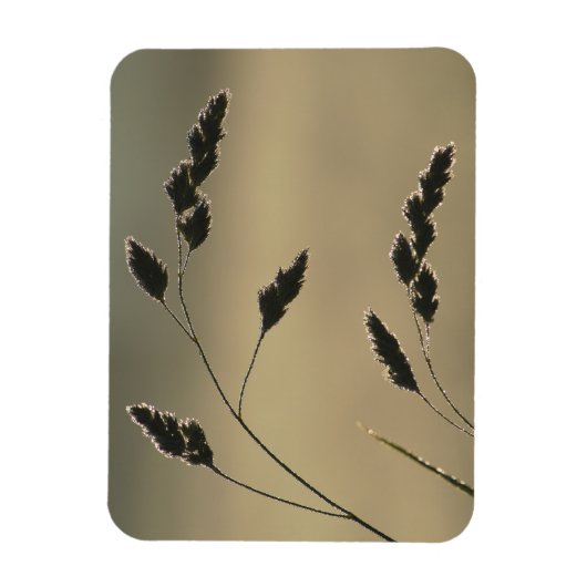 Nat grasoor magneet (Verticaal)