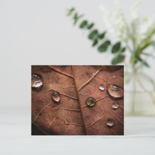 nat herfstblad 2 briefkaart (Staand voorkant)