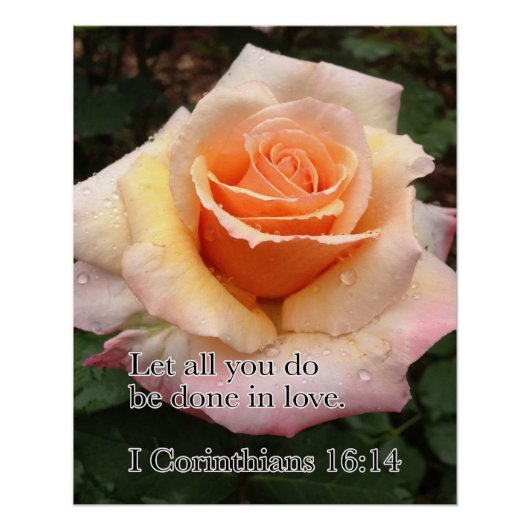 NAT ROOS MET LIEFDE PERFECT POSTER (Voorkant)