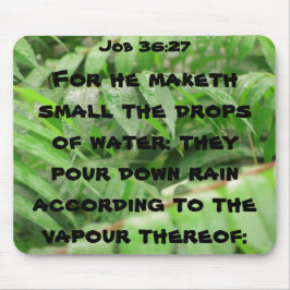 Nat sumac Job quote Muismat