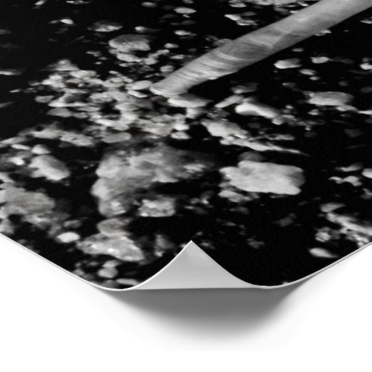 nat veer poster (Hoek)