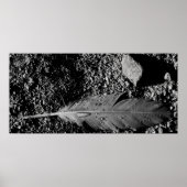 nat veer poster (Voorkant)