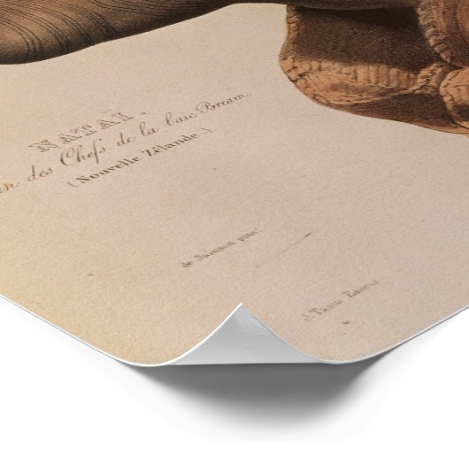 Natai, Maori Chief uit Bream Bay, Nieuw-Zeeland Poster (Hoek)