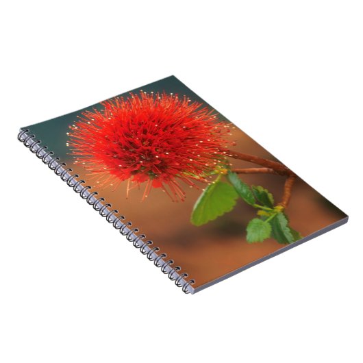 Natal botpenseel (Greyia Sutherlandii) Bloem Notitieboek (Rechterzijde)