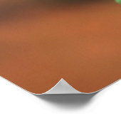 Natal botpenseel (Greyia Sutherlandii) Bloem Poster (Hoek)