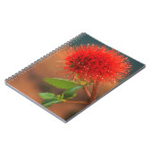 Natal Bottlebrush (Greyia Sutherlandii) Bloem Notitieboek (Linkerzijde)