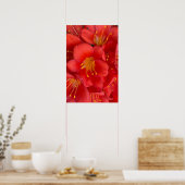Natal Lily Flower Poster (Keuken)