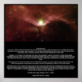 Natal Microcosm Poster (Voorkant)