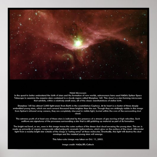 Natal Microcosm Poster (Voorkant)