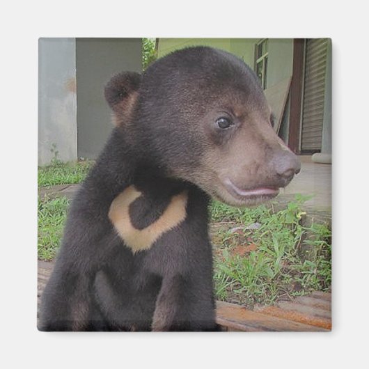 NATALIE Magnet (Voorkant)