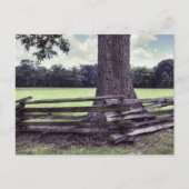 Natchez Split Rail Fence Briefkaart (Voorkant)