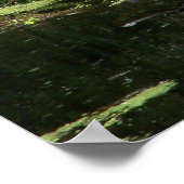 Natchez Trace Gator (3) Poster (Hoek)