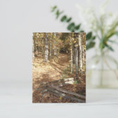 Natchez Trace Trail in het najaar Briefkaart (Staand voorkant)