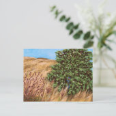 Nathanael en het Briefkaart van de Varkensboom (Staand voorkant)