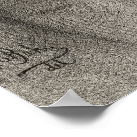 Nathaniel Hawthorne Poster (Hoek)