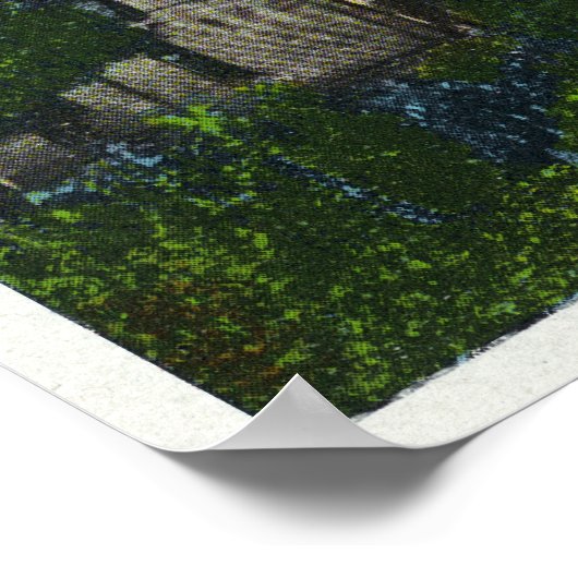 Nathaniel Hawthorne Statue Uitzicht Poster (Hoek)