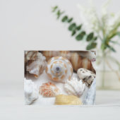 Natica Jewel Box Kitten's Paw Seashells Briefkaart (Staand voorkant)