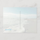 Natica Jewel Box Kitten's Paw Seashells Briefkaart (Achterkant)