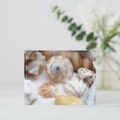Natica Jewel Box Kitten's Paw Seashells Briefkaart (Staand voorkant)