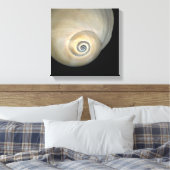 Naticid-schelp Canvas Afdruk (Insitu (Slaapkamer))