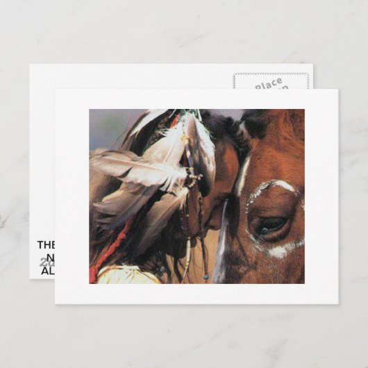 NATIEF AMERIKAANS BRIEFKAART (Voorkant / Achterkant)