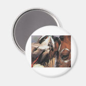 NATIEF AMERIKAANS MAGNEET (Voorkant / Achterkant)